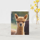 De Kaart van de Nota van de alpaca (Gele Bloem)