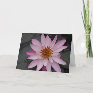 De Kaart van de Nota van de Bloem van Lotus