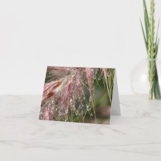 De Kaart van de Nota van de Dauw van de ochtend