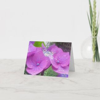 De Kaart van de Nota van de Hydrangea hortensia