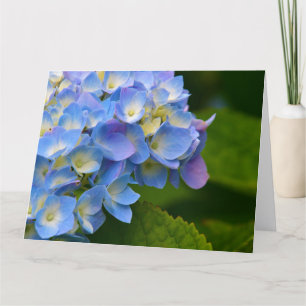 De Kaart van de Nota van de hydrangea hortensia