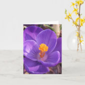 De Kaart van de Nota van de krokus (Gele Bloem)