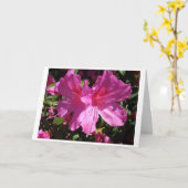 De Kaart van de Nota van de lente (Gele Bloem)