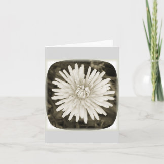 De Kaart van de Nota van de paardebloem