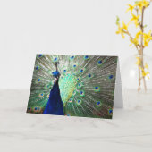 De Kaart van de Nota van de pauw (Gele Bloem)