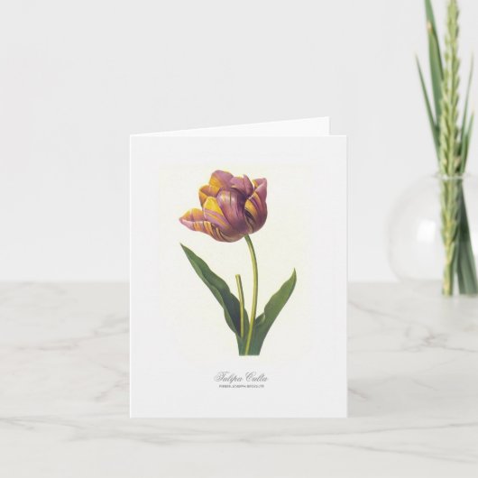 De Kaart van de Nota van de tulp (Voorkant)