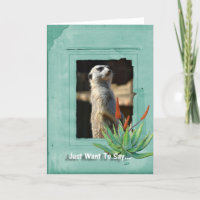 De Kaart van de Nota van het Collectie van Meerkat