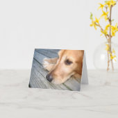 De Kaart van de Nota van het golden retriever (Gele Bloem)