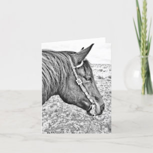 De kaart van de Nota van het Paard van de Teugel