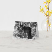 De Kaart van de Nota van het Pak van de zaagtand (Gele Bloem)