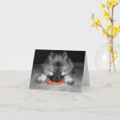 De Kaart van de Nota van het Puppy van Keeshond (Gele Bloem)