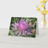 De Kaart van de Nota van Knappweed (Gele Bloem)