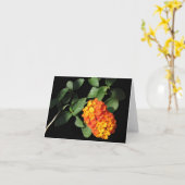 De Kaart van de Nota van Lantana (Gele Bloem)