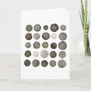 De Kaart van de Nota van Sanddollars