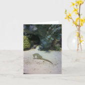 De Kaart van de Nota van Seahorse (Gele Bloem)