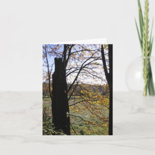 De kaart van de observatie en van de Verbeelding