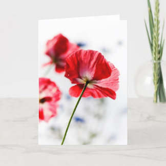 De kaart van de papaver