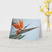 De Kaart van de paradijsvogel (Gele Bloem)