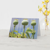 De Kaart van de Peul van de papaver (Gele Bloem)