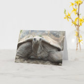 De Kaart van de Schildpad van de Galapagos (Gele Bloem)