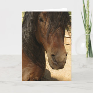 De Kaart van de Schoonheid van het Paard van