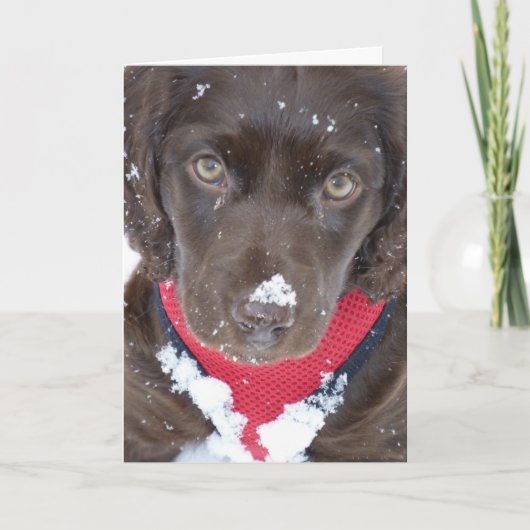 De Kaart van de Sneeuw van het Puppy van Kerstmis (Voorkant)