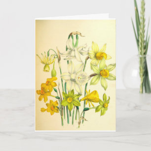 De Kaart van de Sympathie van de Bloem van