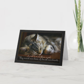 De Kaart van de Sympathie van de Kat van het