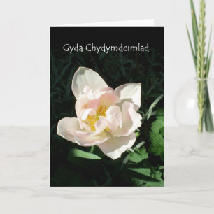 De Kaart van de Sympathie van de "tulp" - Welse