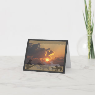 De Kaart van de Sympathie van de Zonsondergang BCD