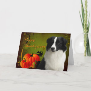 De Kaart van de Thanksgiving van border collie