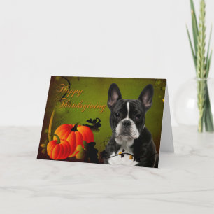 De Kaart van de Thanksgiving van Frenchie