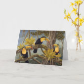 De Kaart van de toekan (Gele Bloem)