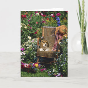 De Kaart van de Tuin van de brak