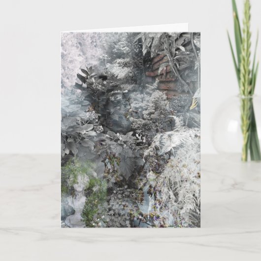 De Kaart van de Tuin van de stad (Voorkant)