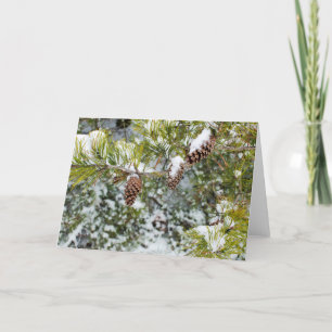 De Kaart van de Vakantie van denneappels