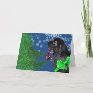 De Kaart van de Vakantie van het Ornament van