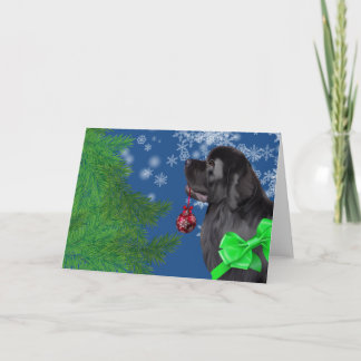 De Kaart van de Vakantie van het Ornament van