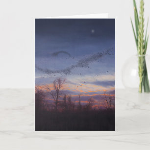 De Kaart van de Vakantie van Murmuration