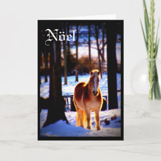 De Kaart van de Vakantie van Nöel