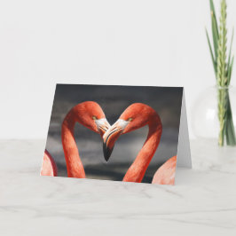De Kaart van de Valentijnsdag van de flamingo