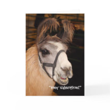 De Kaart van de Valentijnsdag van Llove van de