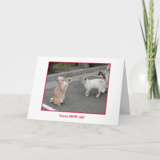 De kaart van de verjaardag (Voorkant)