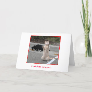 De Kaart van de verjaardag