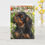 De kaart van de verjaardag: Charles van de koning (Gele Bloem)