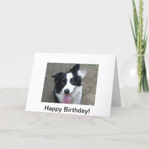 De Kaart van de Verjaardag van border collie