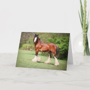 De Kaart van de Verjaardag van Clydesdale