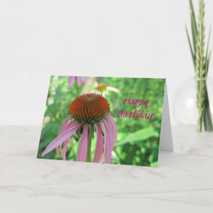 De Kaart van de Verjaardag van Coneflower