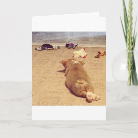 De kaart van de Verjaardag van Corgi (Voorkant)