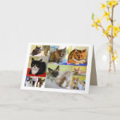 De Kaart van de Verjaardag van de Collage van de (Gele Bloem)